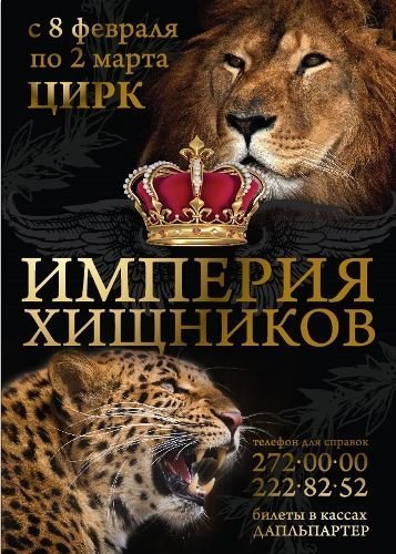Массаж для спины и шеи мужчине Массаж для спины и шеи мужчине