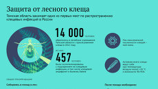 Защита от лесного клеща Защита от лесного клеща