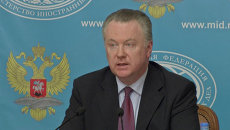 Лукашевич о карательной операции на Украине и аресте пилота Савченко Лукашевич о карательной операции на Украине и аресте пилота Савченко