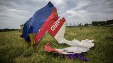 На месте крушения малайзийского лайнера Boeing 777. Архивное фото На месте крушения малайзийского лайнера Boeing 777. Архивное фото