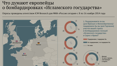Что думают европейцы о бомбардировках Исламского государства Что думают европейцы о бомбардировках Исламского государства