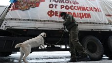 Украинский пограничник досматривает грузовой автомобиль двенадцатой колонны МЧС России с гуманитарной помощью для Донбасса Украинский пограничник досматривает грузовой автомобиль двенадцатой колонны МЧС России с гуманитарной помощью для Донбасса