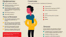 Симптомы, лечение и профилактика гриппа Симптомы, лечение и профилактика гриппа