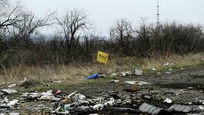 Табличка с надписью мины у поселка Логвиново Донецкой области. Архивное фото Табличка с надписью мины у поселка Логвиново Донецкой области. Архивное фото