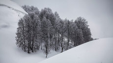 Бамбаяшта Бамбаяшта
