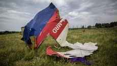 Обломки лайнера Boeing 777 Малайзийских авиалиний, потерпевшего крушение в районе города Шахтерск Донецкой области Обломки лайнера Boeing 777 Малайзийских авиалиний, потерпевшего крушение в районе города Шахтерск Донецкой области