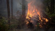 Пожары в Бурятии Пожары в Бурятии