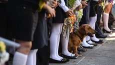 Ученики на торжественной линейке. Архивное фото Ученики на торжественной линейке. Архивное фото
