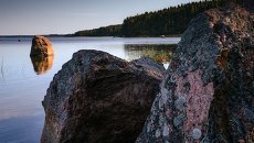 Природный заказник Березовые острова на Финском заливе. Архивное фото Природный заказник Березовые острова на Финском заливе. Архивное фото