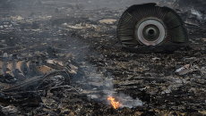 На месте крушения малайзийского самолета Boeing 777 в районе города Шахтерск Донецкой области. Архивное фото На месте крушения малайзийского самолета Boeing 777 в районе города Шахтерск Донецкой области. Архивное фото