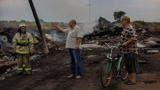 Крушение малайзийского Boeing на Украине Крушение малайзийского Boeing на Украине