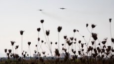 Российские штурмовики Су-25 в небе над авиабазой Хмеймим в Сирии. Архивное фото Российские штурмовики Су-25 в небе над авиабазой Хмеймим в Сирии. Архивное фото