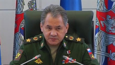 Шойгу рассказал об операции по спасению штурмана сбитого в Сирии Су-24 Шойгу рассказал об операции по спасению штурмана сбитого в Сирии Су-24
