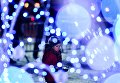 Открытие фестиваля Ледовая Москва. В кругу семьи в парке Победы на Поклонной горе Открытие фестиваля Ледовая Москва. В кругу семьи в парке Победы на Поклонной горе