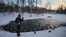 Водоем в Москве. Архивное фото Водоем в Москве. Архивное фото