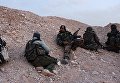 Боевые действия сирийской армии в окрестностях Пальмиры Боевые действия сирийской армии в окрестностях Пальмиры
