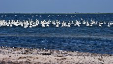 Крым. Архивное фото Крым. Архивное фото