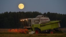 Уборка урожая зерновых в Новосибирской области Уборка урожая зерновых в Новосибирской области