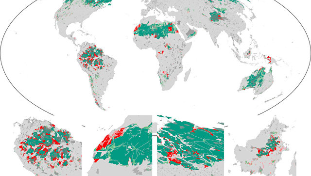 За четверть века Земля потеряла 10% дикой природы