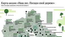 Карта акции Наш лес. Посади своё дерево Карта акции Наш лес. Посади своё дерево
