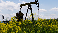 Нефтяные станки-качалки. Архивное фото Нефтяные станки-качалки. Архивное фото