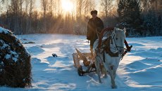 Повозка в селе Березовка Томской области Повозка в селе Березовка Томской области