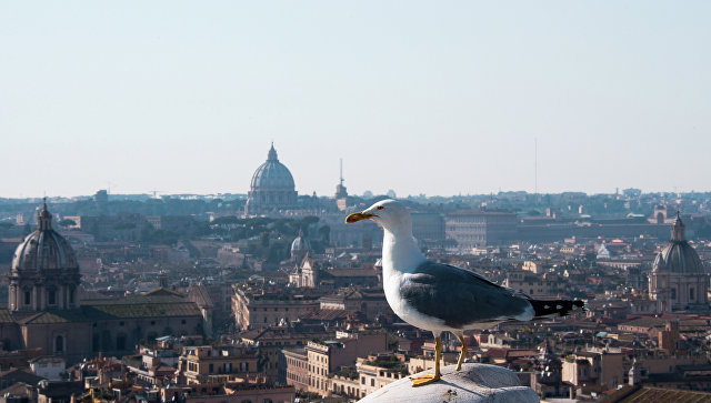 Чайка на крыше дома в Риме. Архивное фото
