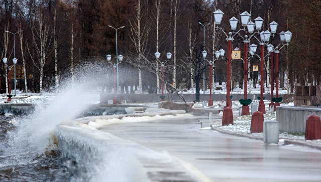 В "Мемориале" считают обвинение главы карельского отделения провокацией