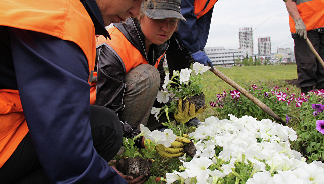 На развитие городской среды планируют выделять пять миллиардов рублей в год
