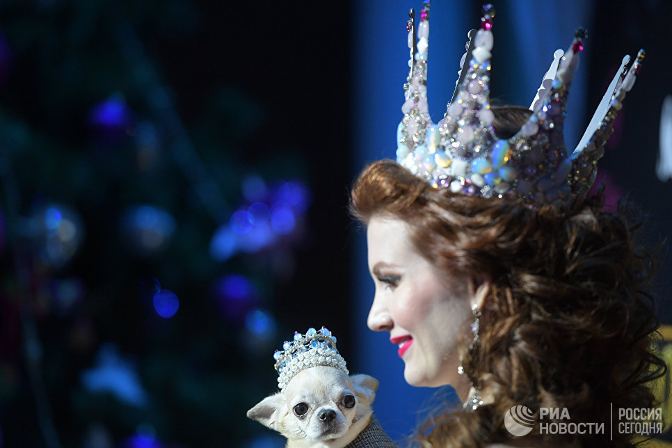 Член жюри конкурса, актриса, мождель, четырежды титулованная королева красоты Ольга Миллер во время финала конкурса красоты Золотая корона России Член жюри конкурса, актриса, мождель, четырежды титулованная королева красоты Ольга Миллер во время финала конкурса красоты Золотая корона России