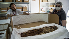 Anthropologist Veronica Silva demonstrates mummy made chinchorro Indians in Chile the National Museum of Natural History.  December 2016