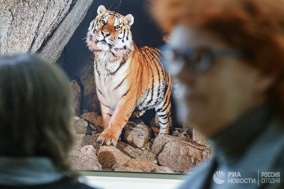 IV фестиваль Первозданная Россия IV фестиваль Первозданная Россия
