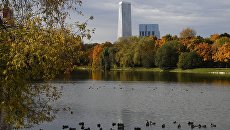 Пруд в Москве. Архивное фото Пруд в Москве. Архивное фото