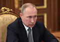 Президент РФ Владимир Путин во время встречи с губернатором Камчатского края Владимиром Илюхиным. 3 февраля 2017