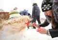Участница украшает снежную фигуру во время Арт-битвы Снеговиков в Московском Дворце пионеров на Воробьевых горах Участница украшает снежную фигуру во время Арт-битвы Снеговиков в Московском Дворце пионеров на Воробьевых горах
