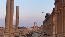 Историко-архитектурный комплекс Древней Пальмиры в сирийской провинции Хомс Историко-архитектурный комплекс Древней Пальмиры в сирийской провинции Хомс