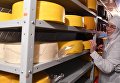 Изготовление сыра в молочном цехе Свято-Никольского Черноостровского женского монастыря в городе Малоярославце Изготовление сыра в молочном цехе Свято-Никольского Черноостровского женского монастыря в городе Малоярославце