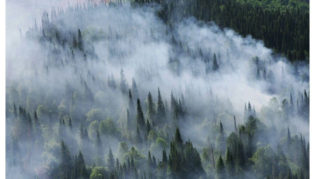 Последние новости часа архангельск