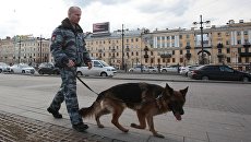 Сотрудник правоохранительных органов в Петербурге. Архивное фото Сотрудник правоохранительных органов в Петербурге. Архивное фото