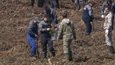 Участники акции Лес Победы посадили тысячи новых деревьев в Подмосковье Участники акции Лес Победы посадили тысячи новых деревьев в Подмосковье
