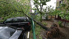 Сломанное ураганом дерево во дворе жилого дома в Москве Сломанное ураганом дерево во дворе жилого дома в Москве