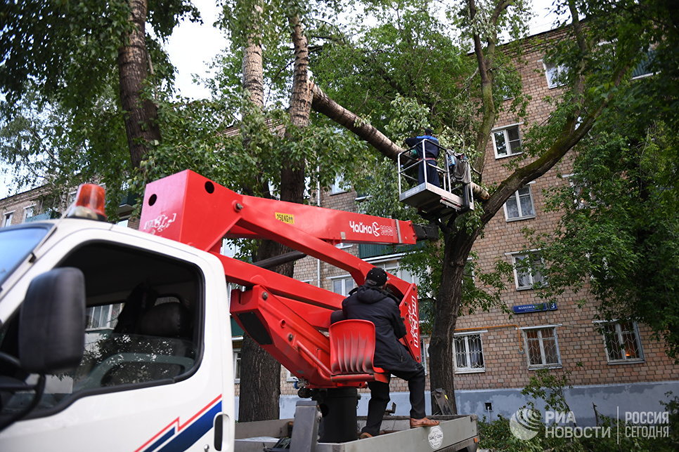 Ликвидация последствий урагана в Москве Ликвидация последствий урагана в Москве