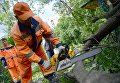 Работники коммунальных служб отпиливают ветки поваленных деревьев в одном из дворов Москвы Работники коммунальных служб отпиливают ветки поваленных деревьев в одном из дворов Москвы