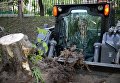 Работники коммунальных служб убирают поваленные деревья в одном из дворов Москвы Работники коммунальных служб убирают поваленные деревья в одном из дворов Москвы