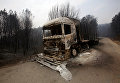 Последствия лесных пожаров в Португалии Последствия лесных пожаров в Португалии