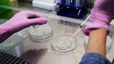 В лаборатории разработки инновационных лекарственных средств В лаборатории разработки инновационных лекарственных средств
