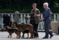 Участники фестиваля собак и людей Спутники жизни в Измайловском Парке культуры и отдыха в Москве Участники фестиваля собак и людей Спутники жизни в Измайловском Парке культуры и отдыха в Москве