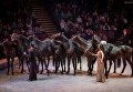 Артисты Росгорцирка примут участие в Спасской башне Артисты Росгорцирка примут участие в Спасской башне