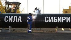 Церемония соединения первого звена магистрального газопровода Сила Сибири на Намском тракте у села Ус Хатын. Архивное фото Церемония соединения первого звена магистрального газопровода Сила Сибири на Намском тракте у села Ус Хатын. Архивное фото
