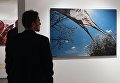 На выставке работ финалистов Международного конкурса фотожурналистики имени Андрея Стенина в Центре фотографии имени братьев Люмьер в Москве На выставке работ финалистов Международного конкурса фотожурналистики имени Андрея Стенина в Центре фотографии имени братьев Люмьер в Москве